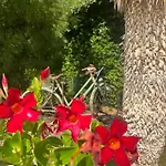 Domaine L'oasis De