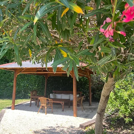 Domaine L'oasis De Boisset-et-Gaujac