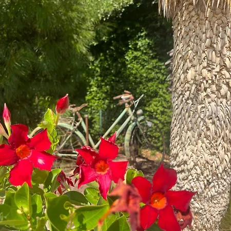 Βίλα Domaine L'oasis De Boisset-et-Gaujac