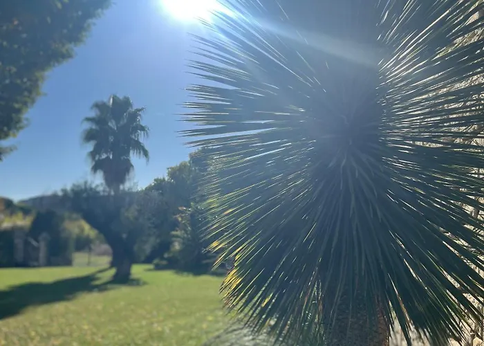 Domaine L'oasis De Vila *